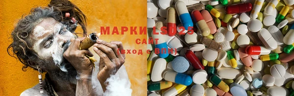 ПСИЛОЦИБИНОВЫЕ ГРИБЫ Магадан